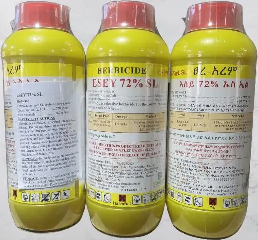 photo_2024-08-06_01-45-55