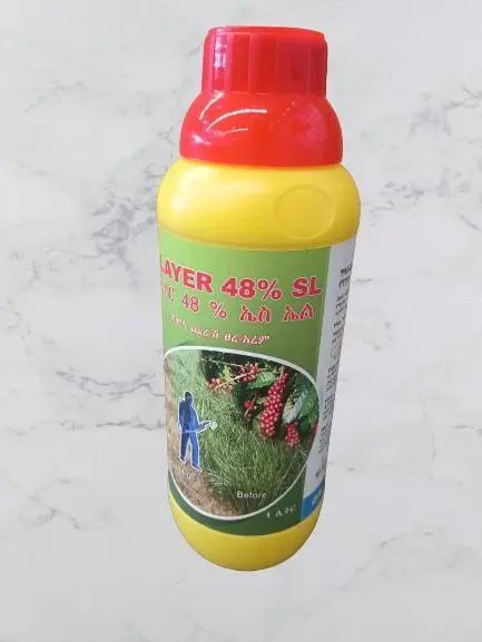 photo_2024-08-06_01-46-03