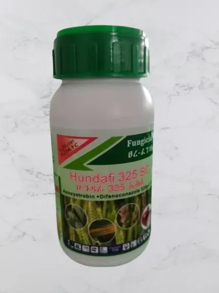 photo_2024-08-06_01-46-05