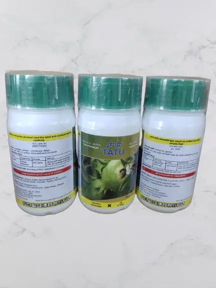 photo_2024-08-06_01-46-08