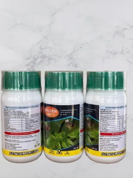 photo_2024-08-06_02-01-23